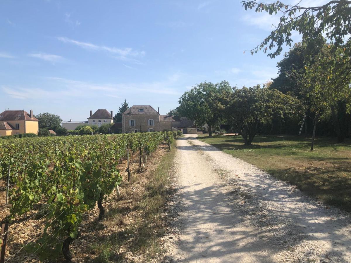 Maison De Pauline, Chablis Vineyard Prehy Экстерьер фото