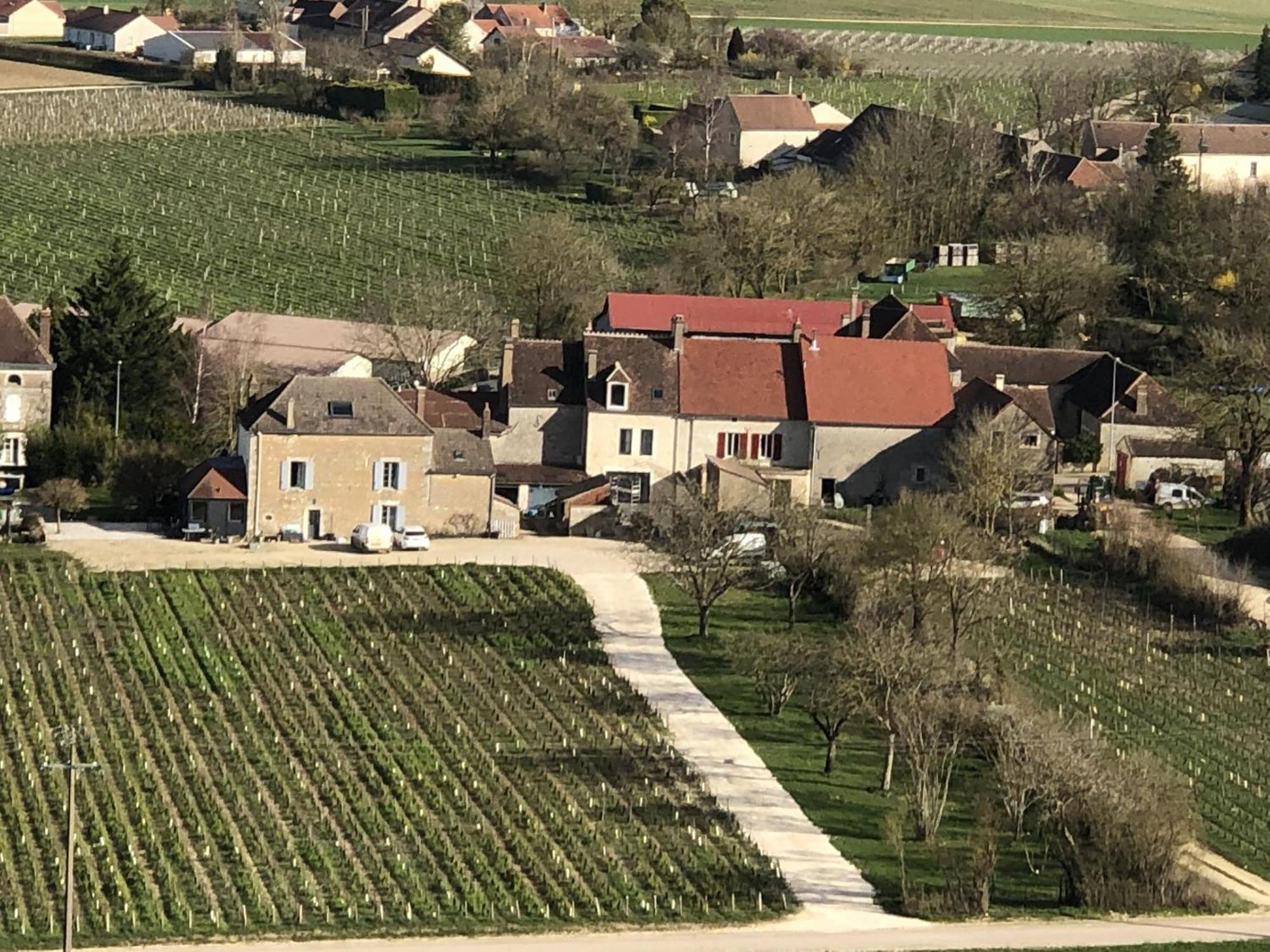 Maison De Pauline, Chablis Vineyard Prehy Экстерьер фото